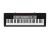 Casio CTK-1500 tastiera digitale 61 chiavi Nero 